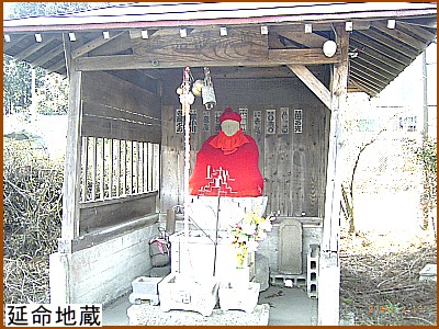 �����n��