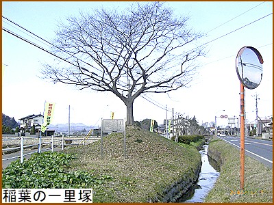 ��t�̈ꗢ��