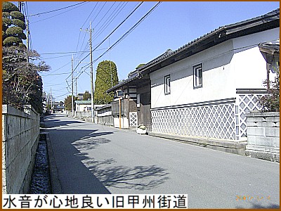 �������Ȃ�Ƃ��S�n�ǂ����b�B�X��