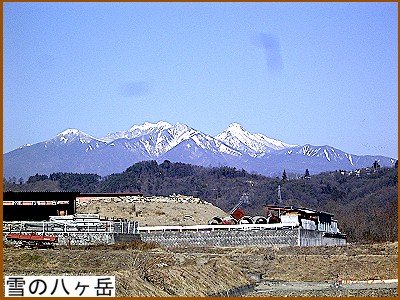 ��̔����x