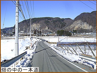 ���̒��̈�{��