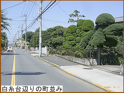 ������ӂ�̒�����