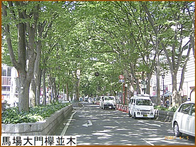 �n����O����