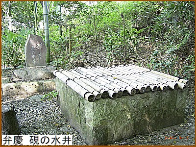 �ٌc ���̐���