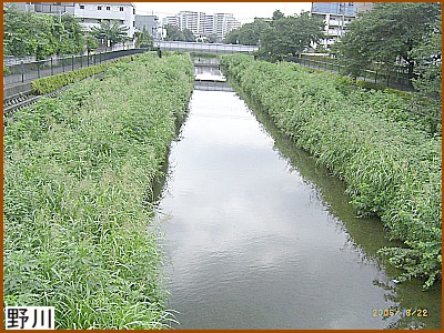 野川