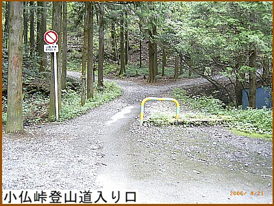 �������o�R�������