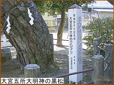 ��{�܏��喾�_�̍���