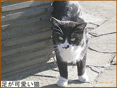 ���������L