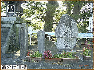 �Ǖ������W