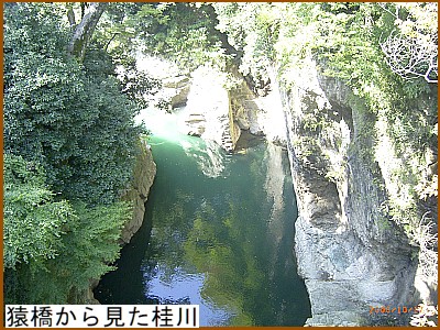 �������猩���j��