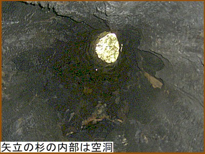 ��̐��̓����͋�