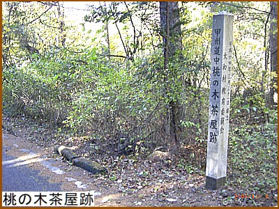 ���̖ؒ�����