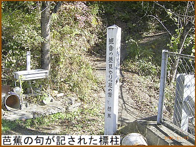 �m�Ԃ̋傪�L���ꂽ�W��