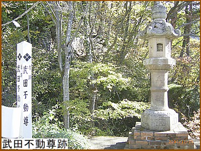 ���c�s������