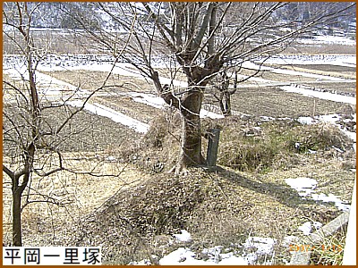 �����ꗢ��