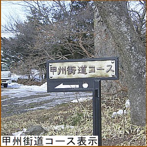 �b�B�X���R�[�X�\��