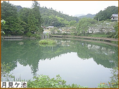 �����P�r