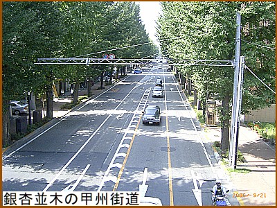 ��Ǖ��؂̍b�B�X��