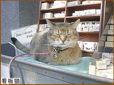 看板猫