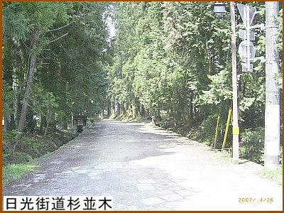 日光街道杉並木