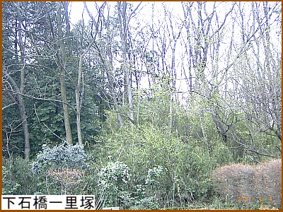 ���΋��ꗢ��