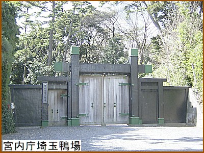 �{������ʊ���