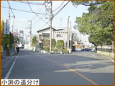 �����̒Ǖ���