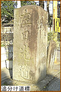 �Ǖ������W