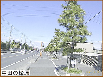 ���c�̏���