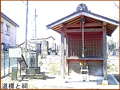 ���W���K