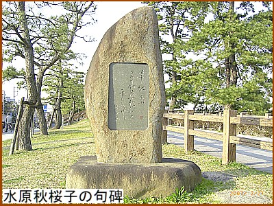 水原秋桜子の句碑