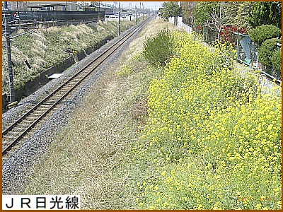 �q������