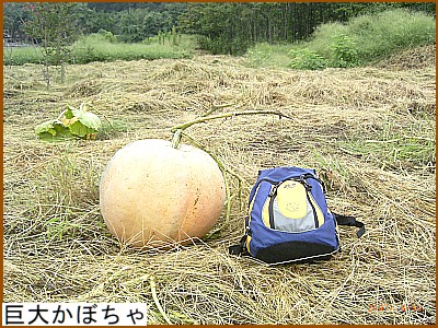 ���傩�ڂ���