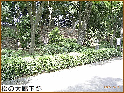 ���̑�L����