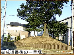 �䐬���Ō�̈ꗢ��