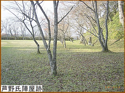 ���쎁�w����