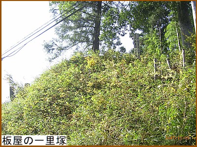 ���̈ꗢ��