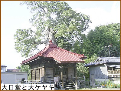 ������Ƒ�P���L