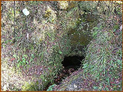 �߂����̐���