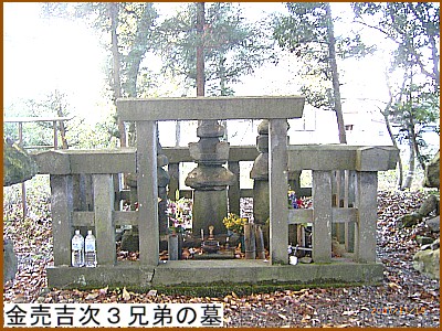 �����g���R�Z��̕�