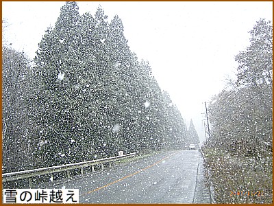 ��̓��z��