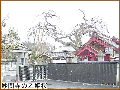 ���֎��́u���P��