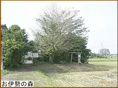 ���ɐ��̐X