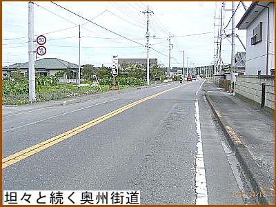 �R�X�Ƒ������B�X��