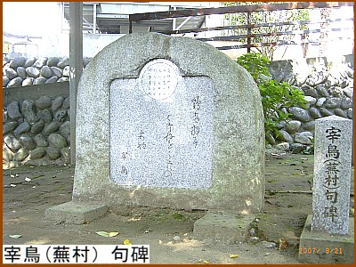 �ɒ�(�����j���