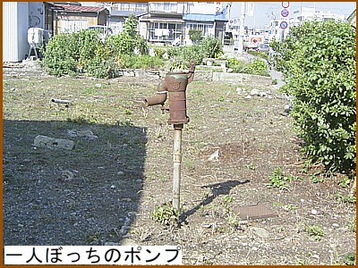 ��l�ڂ����̃|���v