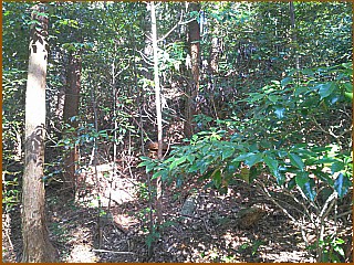 嵩山一里塚　右塚