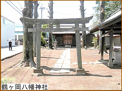 �߃��������_��