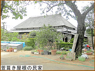 �����������̖���