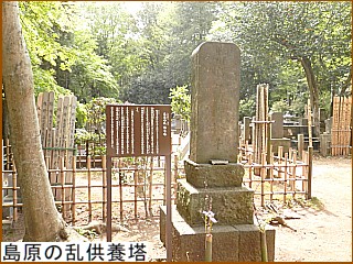 �����̗����{��